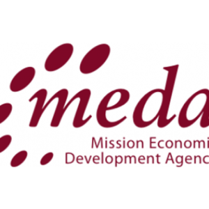 Meda logo