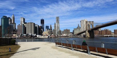 New york landscape