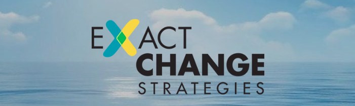 Image: Blue sky and ocean with ECM Implementatin Partner Exact Change Strategies logotype