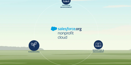 SFDO nonprofit cloud