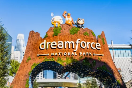 Photo: Dreamforce conference welcome gate