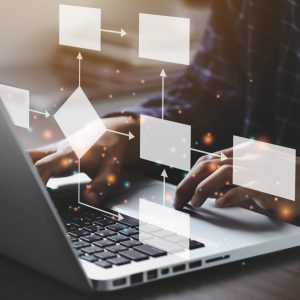 Program Navigation Workflow