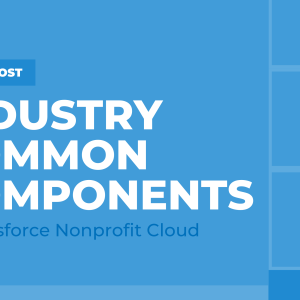 Industry Common Components in Salesforce Nonprofit Cloud