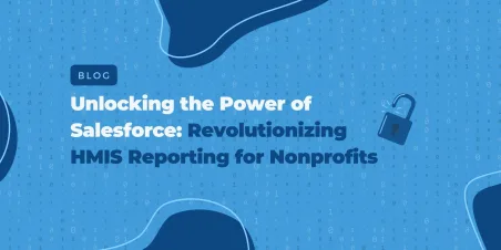 HMIS Reporting for Nonprofits Landscape