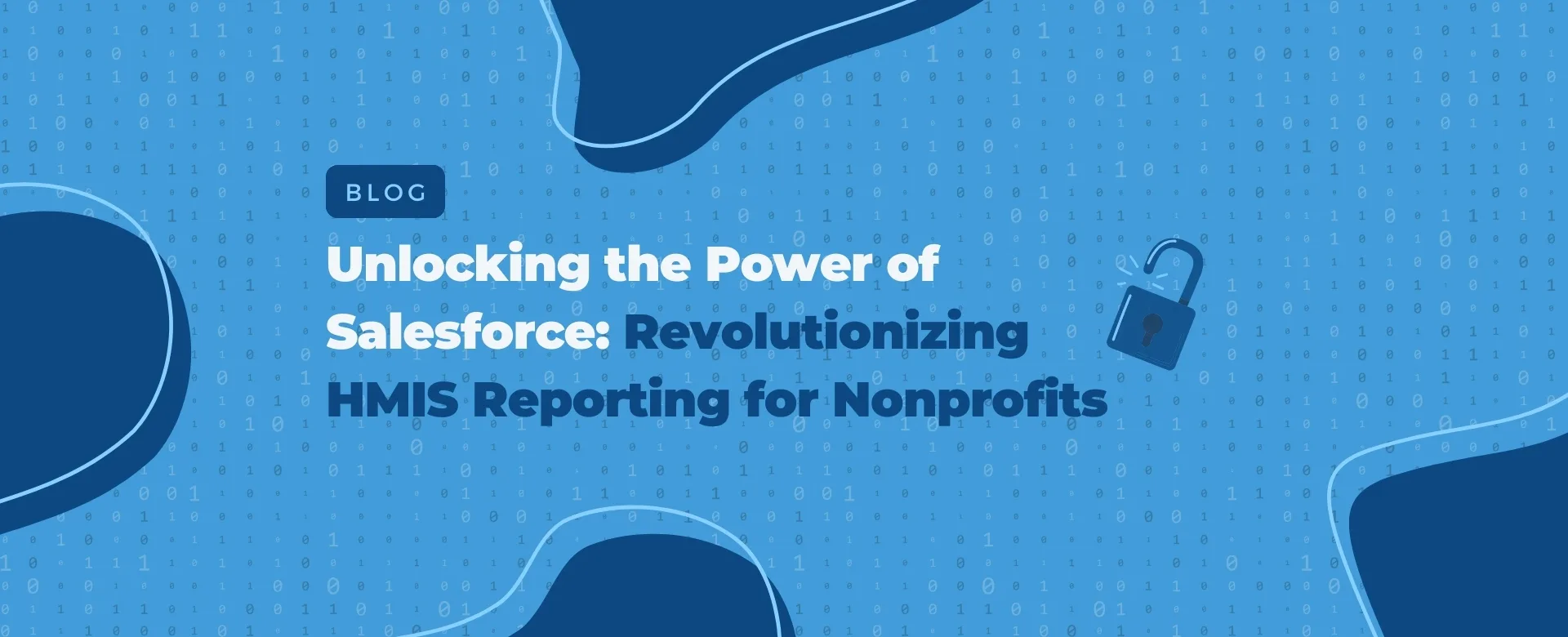 HMIS Reporting for Nonprofits Landscape